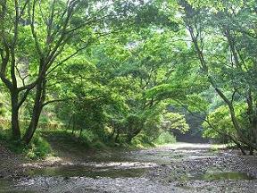初谷渓谷写真