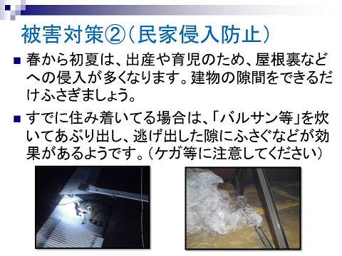 被害対策2(民家侵入防止)春から初夏は、出産や育児のため、屋根裏などへの親友が多くなります。建物の隙間をできるだけふさぎましょう。すでに住み着いている場合は、「バルサン」などを炊いてあぶり出し、逃げ出した隙にふさぐなどが効果があるようです。(ケガなどに注意してください)