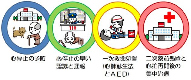 心停止の予防 心停止の早い認識と通報 一次救命処置(心肺蘇生法とAED) 二次救命処置と心拍再開後の集中治療