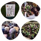 花いっぱい教室の様子