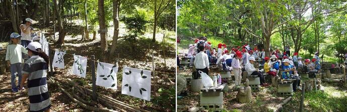 春の環境体験学習の様子