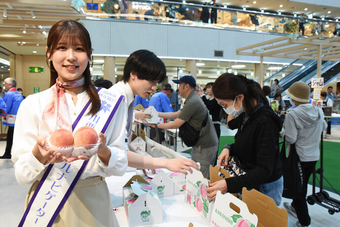 川西特産品「早生桃」今年もたわわに実る